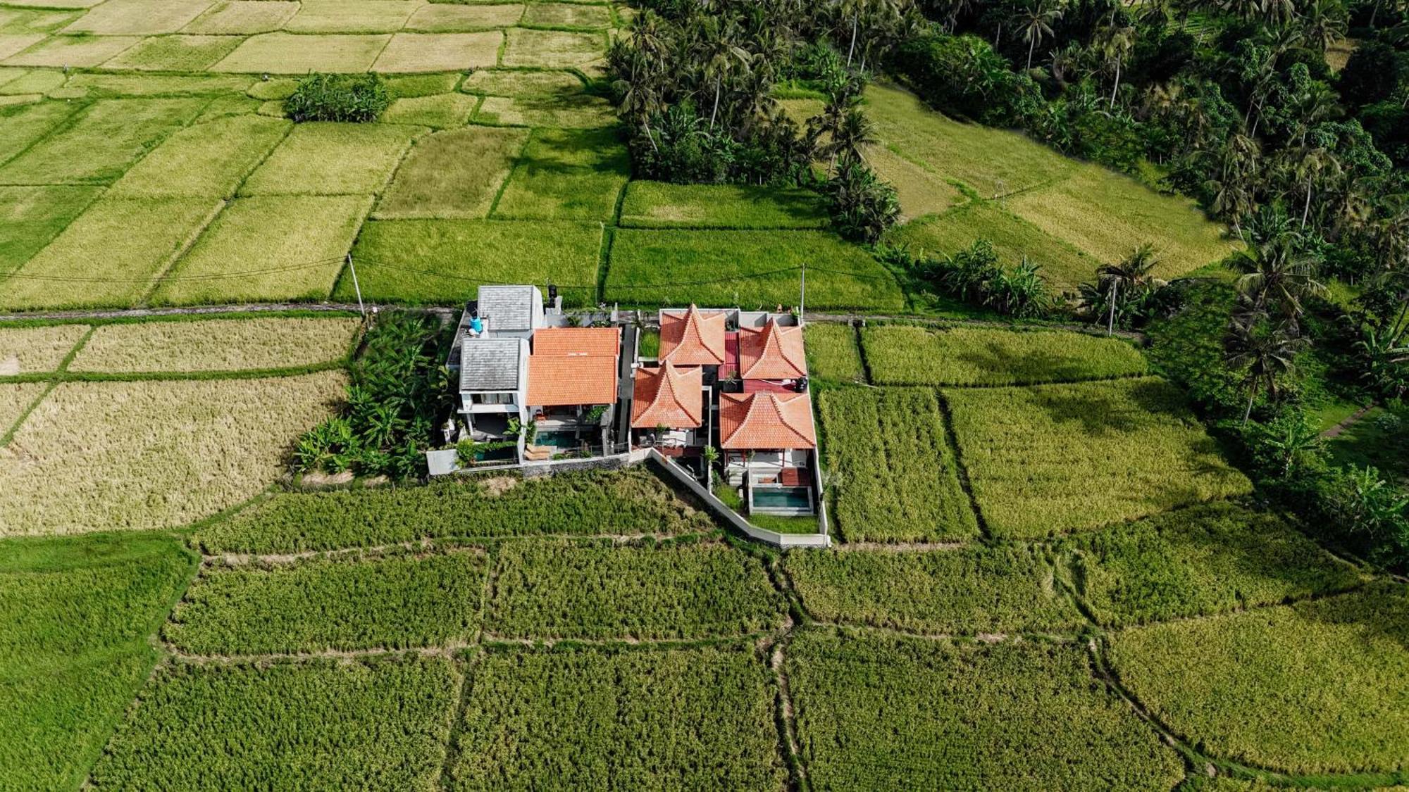 Weda Villas Ubud Extérieur photo