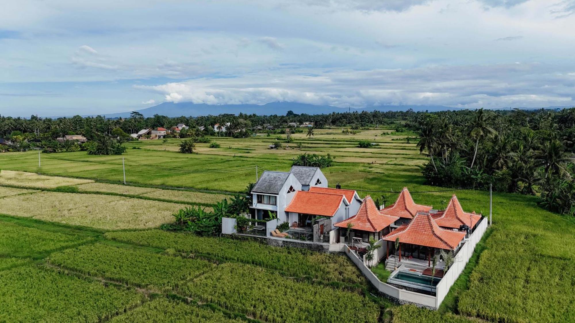 Weda Villas Ubud Extérieur photo